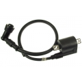 4 - Stroke Ignition Coil (2 Mounting Holes)